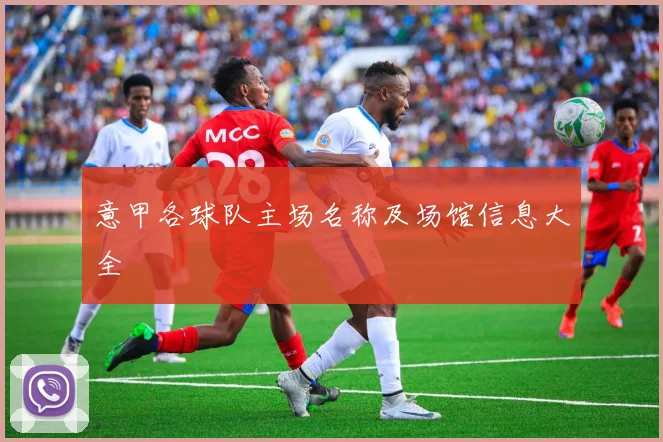 意甲各球队主场名称及场馆信息大全