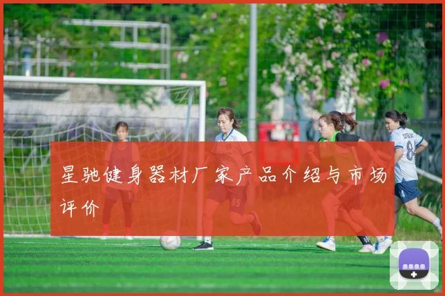 星驰健身器材厂家产品介绍与市场评价
