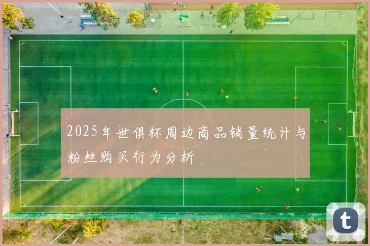2025年世俱杯周边商品销量统计与粉丝购买行为分析